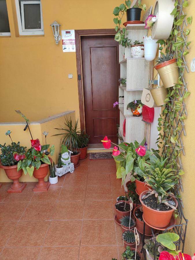 Casinha Gabriela Apartment Лагос Екстериор снимка