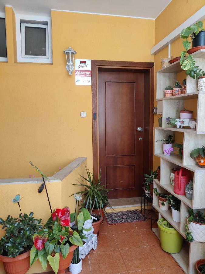 Casinha Gabriela Apartment Лагос Екстериор снимка